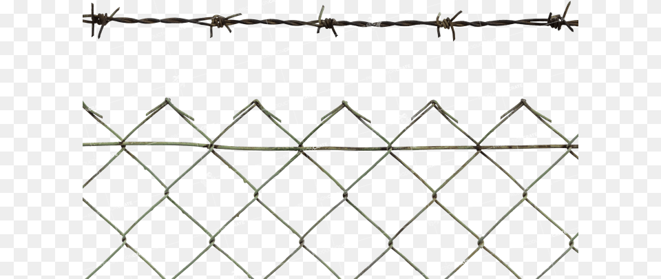 Barbed Wire Fence Lookbook, Animal, Lizard, Reptile, Barbed Wire Free Png Download