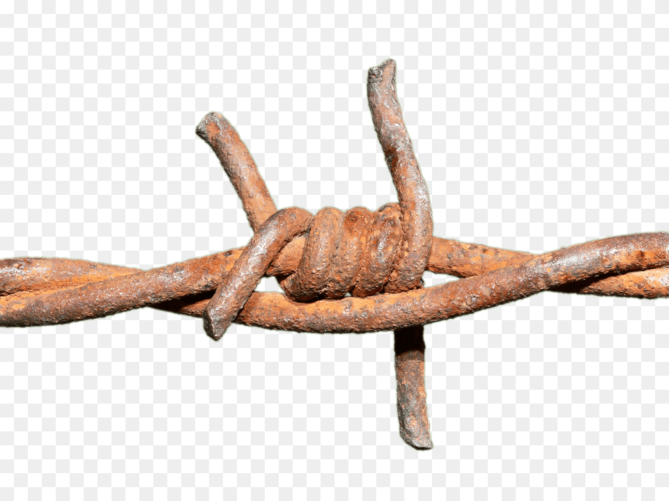 Barbed Wire Rusted Knot, Corrosion, Rust Free Png Download