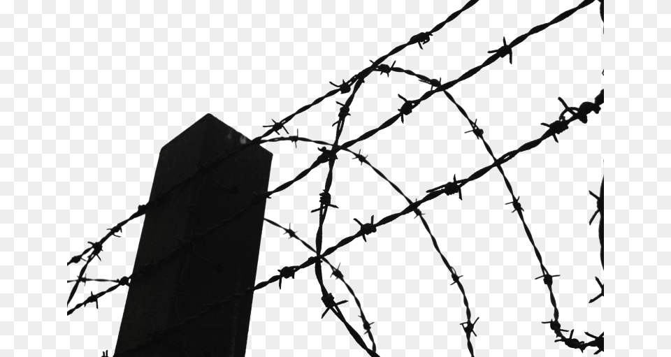 Barbed Wire Transparent Images Pictures Photos Arts, Barbed Wire Free Png Download