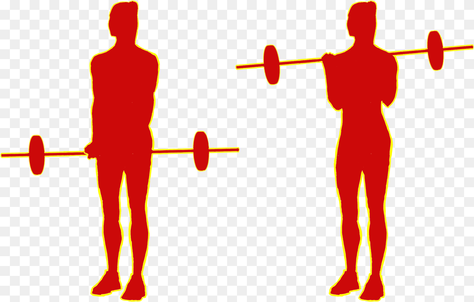 Barbell Or Cable Curls 21s Powerlifting, Adult, Chart, Male, Man Free Transparent Png