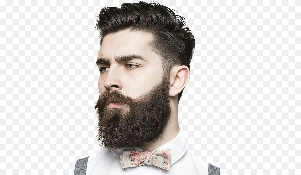 Barberi, Beard, Face, Head, Person Free Png