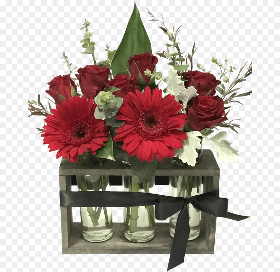 Barberton Daisy, Art, Floral Design, Flower, Flower Arrangement Free Png