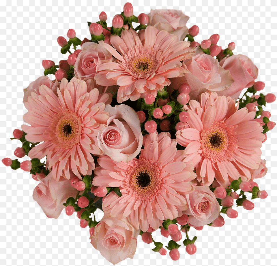 Barberton Daisy, Flower Bouquet, Plant, Flower, Flower Arrangement Png Image