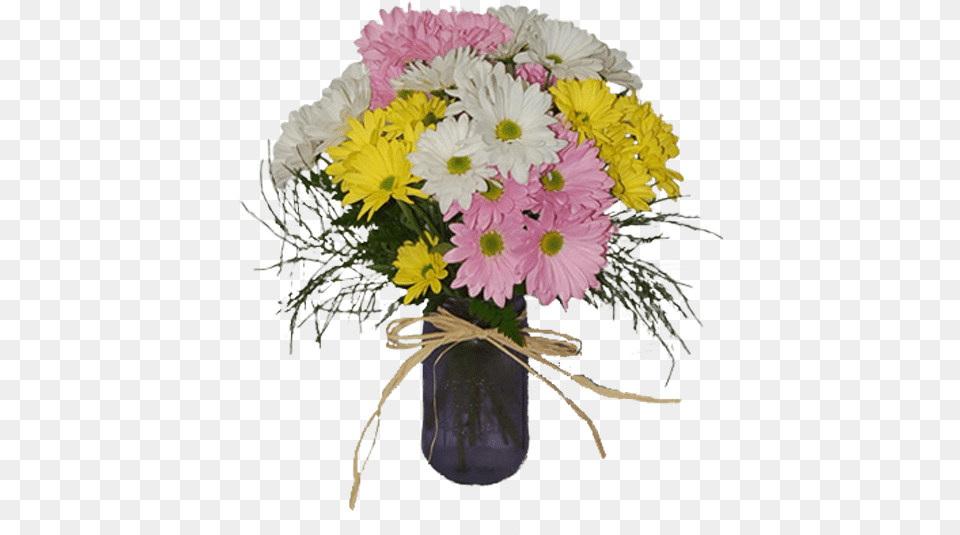 Barberton Daisy, Flower, Flower Arrangement, Flower Bouquet, Plant Png Image