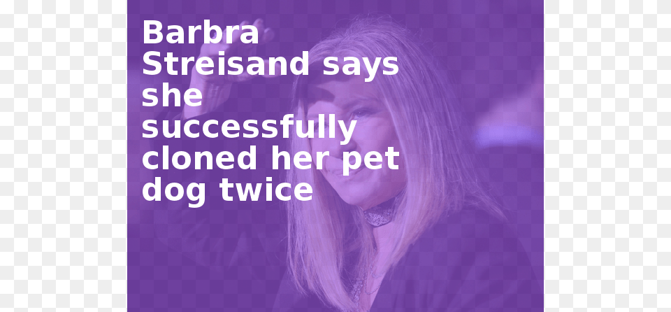 Barbra Streisand Says She Successfully Cloned Her Pet Obama Yes We Can, Purple, Person, People, Adult Png Image