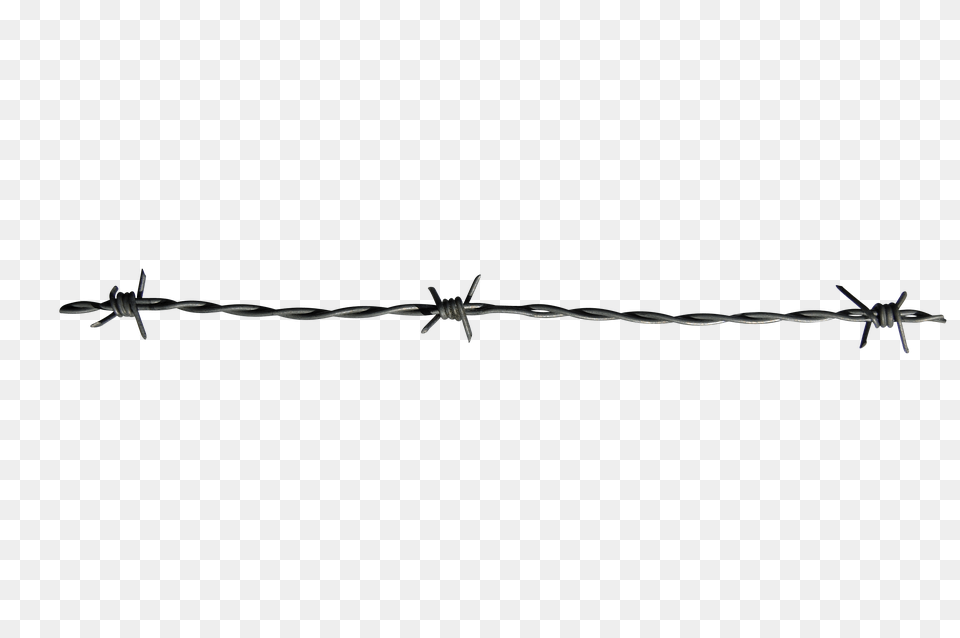 Barbwire, Wire, Barbed Wire Free Png Download