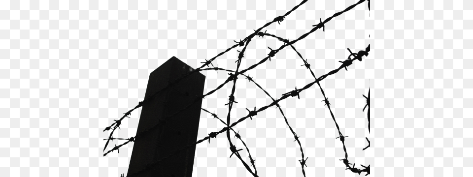 Barbwire, Wire, Barbed Wire Free Png