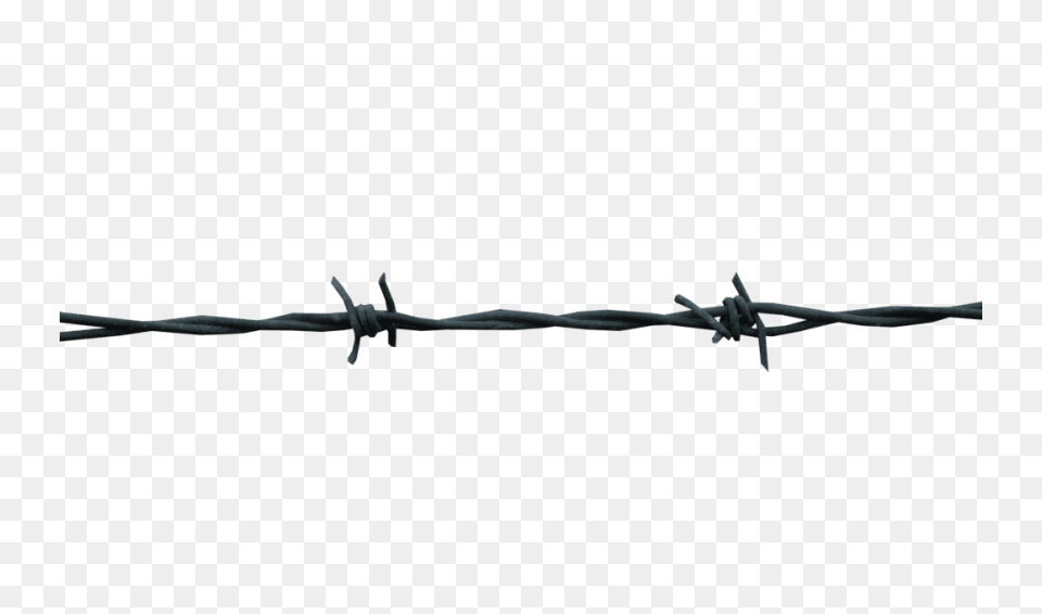 Barbwire Transparent Images, Wire, Barbed Wire, Animal, Lizard Png Image