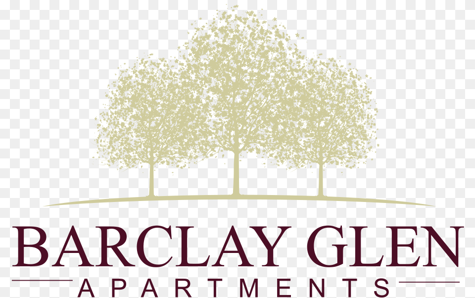 Barclay Glen Apartments Tree, Vegetation, Plant, Sycamore, Oak Free Transparent Png