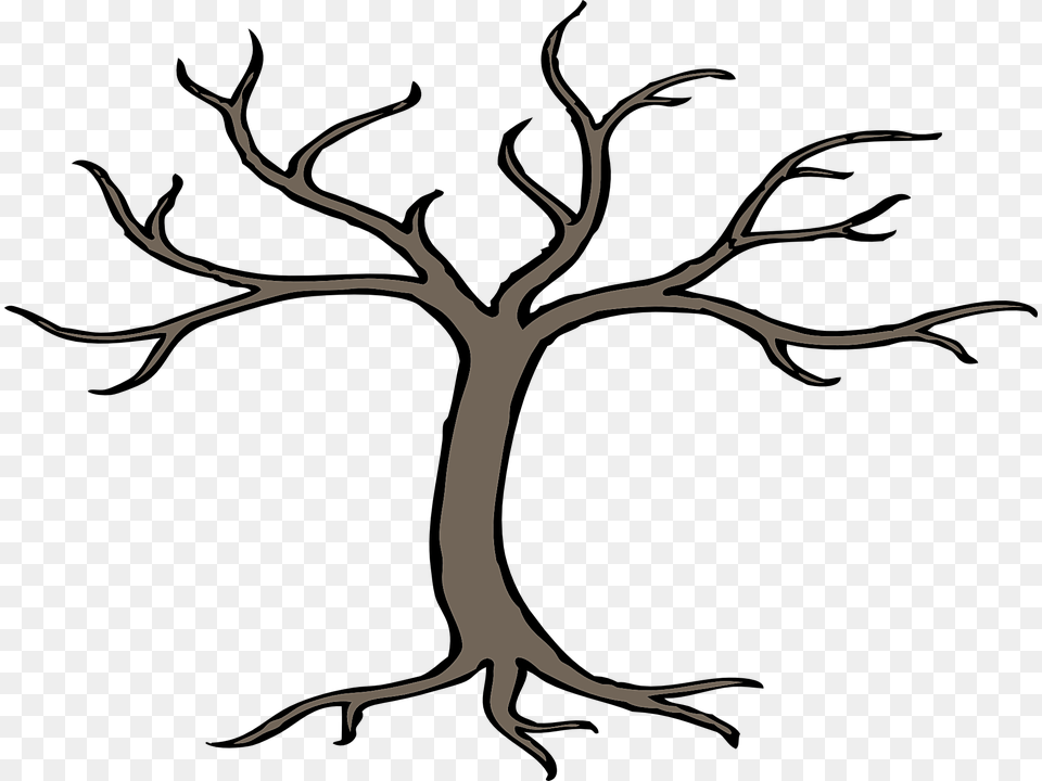 Bare Apple Tree Transparent Bare Apple Tree Bare Tree Clip Art, Drawing Free Png Download