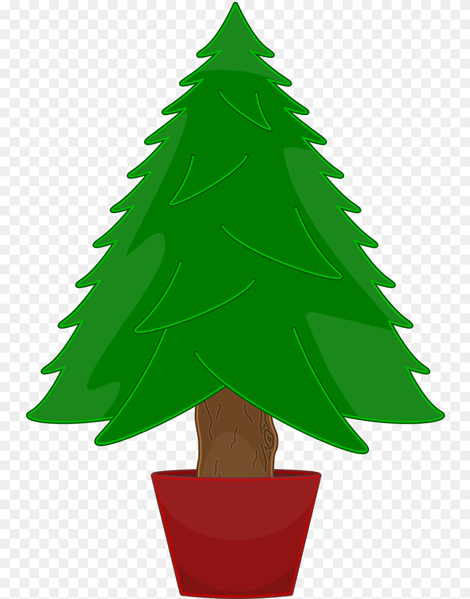 Bare Christmas Tree Clip Art Christmas Tree Not Decorated, Plant, Fir, Christmas Decorations, Festival Free Png Download