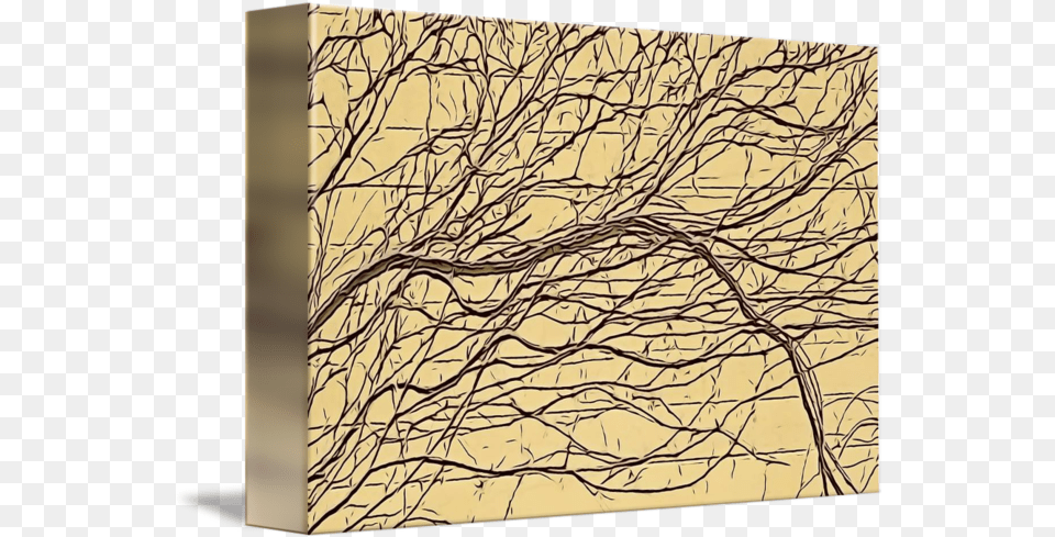 Bare Ivy Vines Tree, Canvas, Art, Plant, Painting Free Transparent Png