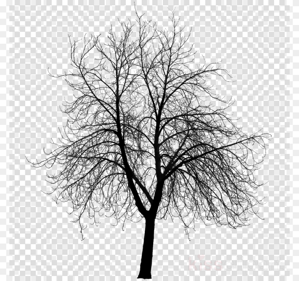 Bare Tree 3d Model Clipart Tree The Work Of Wind Creepy Tree Silhouette, Pattern, Plant, Art Free Transparent Png