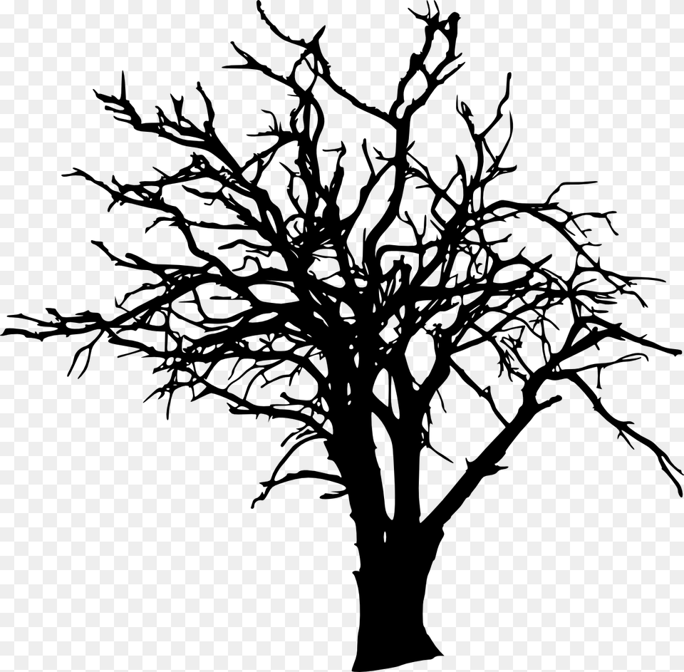 Bare Tree Background, Plant, Silhouette, Art, Drawing Free Transparent Png