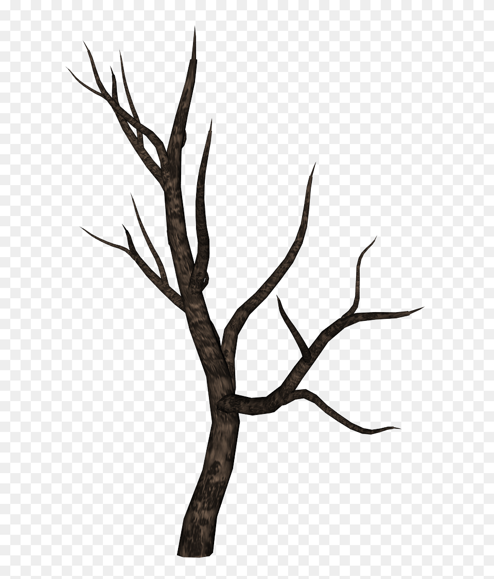 Bare Tree Branch Image, Plant, Silhouette, Tree Trunk, Art Png