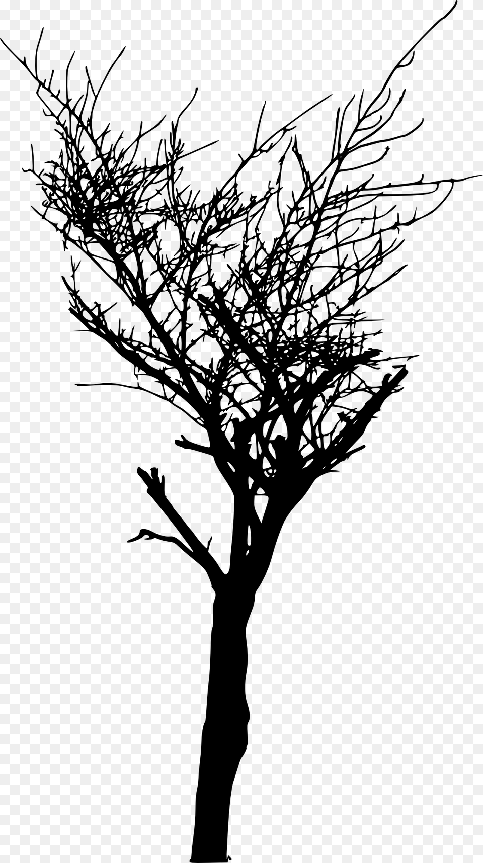 Bare Tree Branch Portable Network Graphics, Art, Plant, Silhouette, Drawing Free Transparent Png