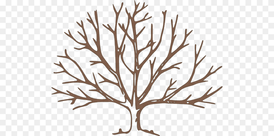 Bare Tree Brown Bare Tree Clip Art, Leaf, Plant, Festival, Hanukkah Menorah Free Png Download