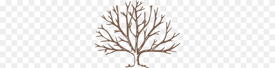 Bare Tree Clip Art Brown Bare Tree Clip Art, Plant, Festival, Hanukkah Menorah, Outdoors Free Png Download