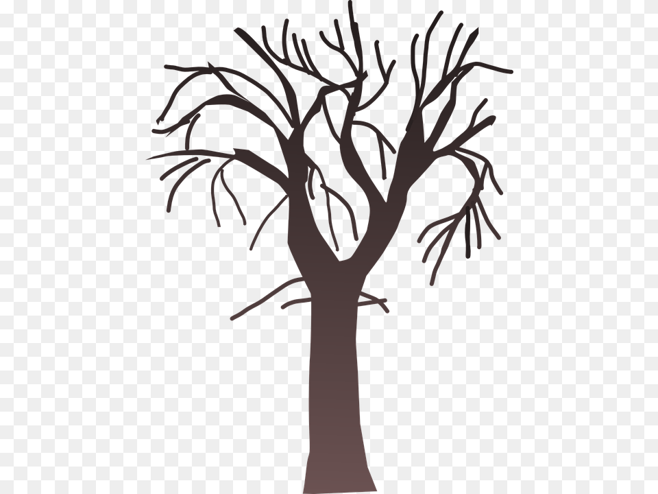 Bare Tree Clipart, Plant, Art, Tree Trunk, Drawing Free Transparent Png