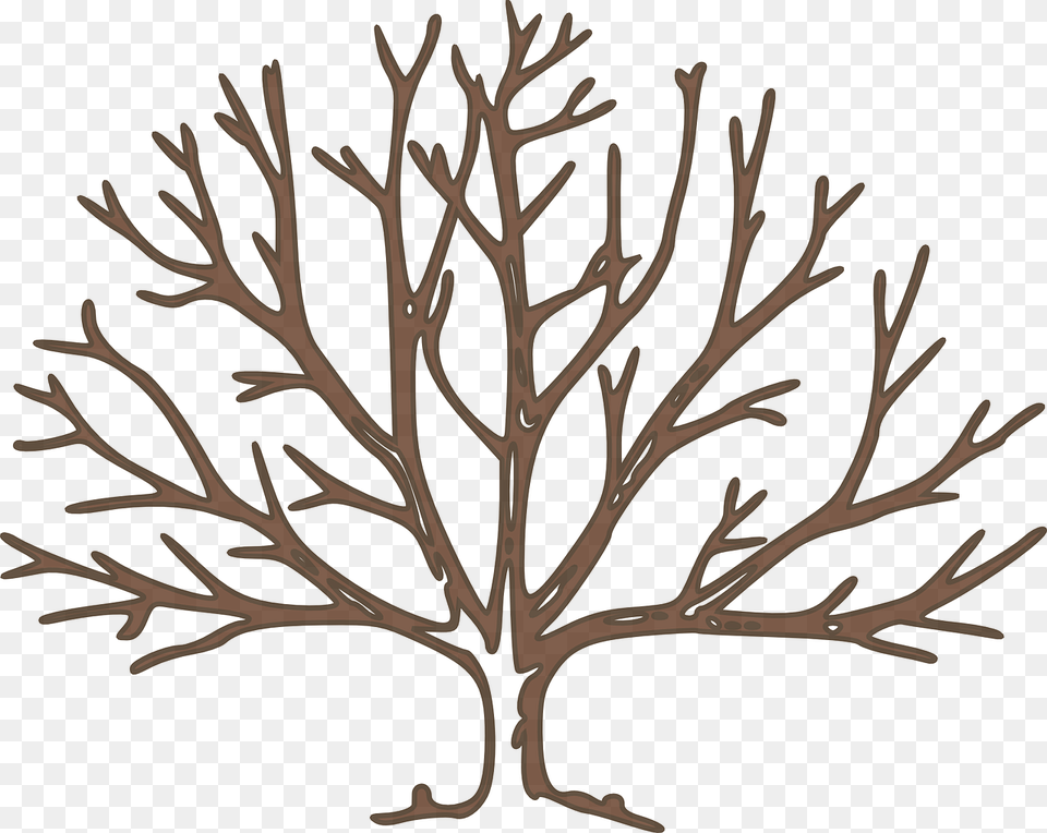 Bare Tree Clipart, Plant, Antler, Wood, Outdoors Png