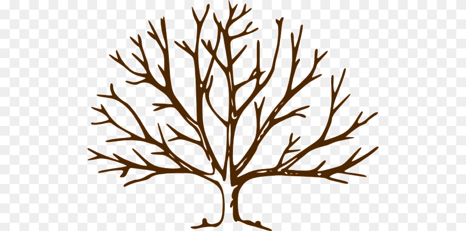Bare Tree Clipart, Leaf, Plant, Art, Drawing Free Transparent Png