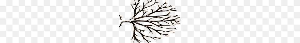 Bare Tree Clipart Bare Tree Silhouette Clip Art, Plant, Leaf, Nature, Outdoors Free Png