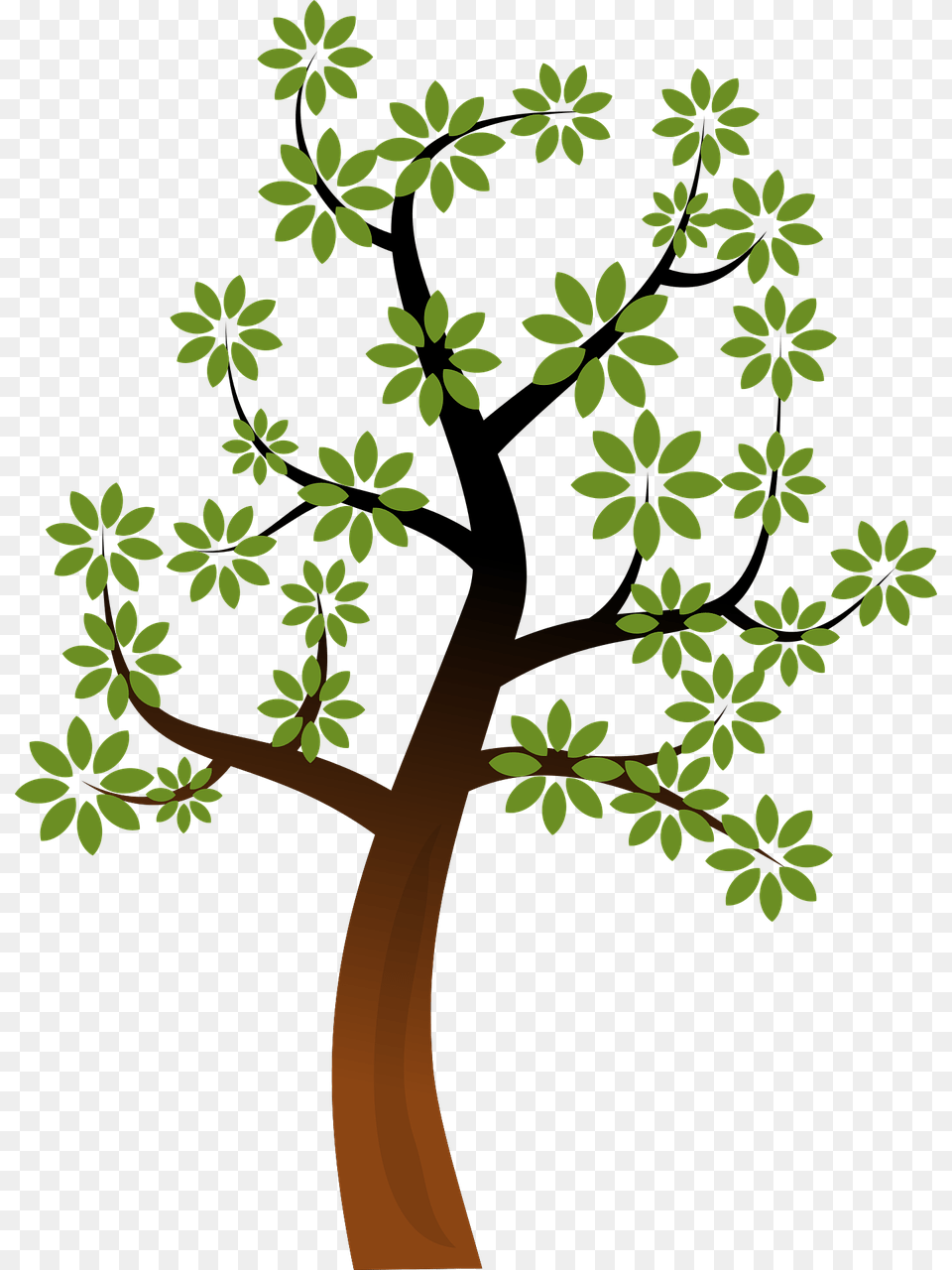 Bare Tree Clipart Clipart Public Domain Tree Clipart, Art, Floral Design, Graphics, Green Png Image