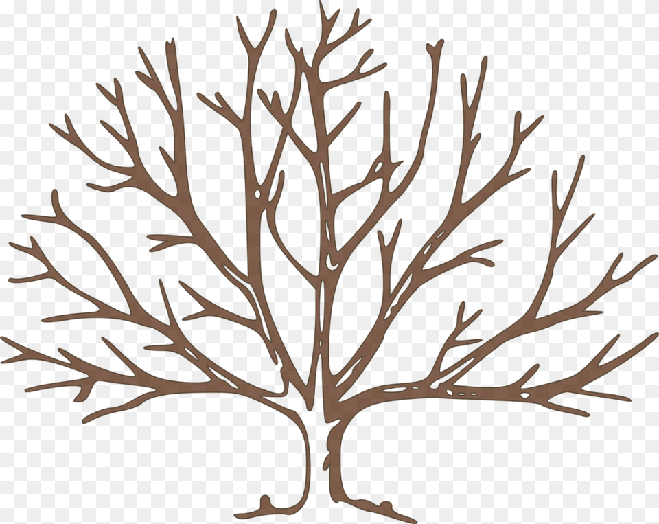 Bare Tree Clipart Draw A Winter Tree, Leaf, Plant, Accessories, Wood Free Png Download