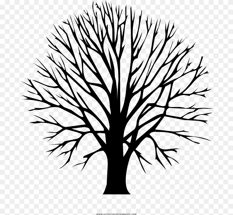 Bare Tree Coloring, Gray Free Transparent Png