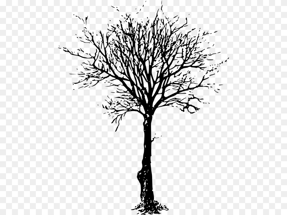 Bare Tree Dead Tree, Gray Png Image