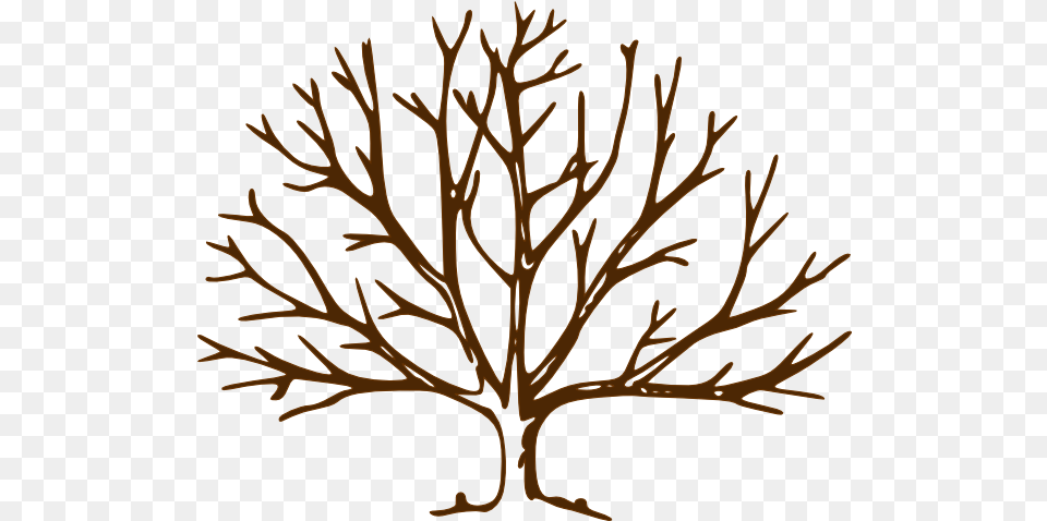 Bare Tree Drawing Download Bare Tree Clipart, Plant, Antler, Wood, Leaf Png