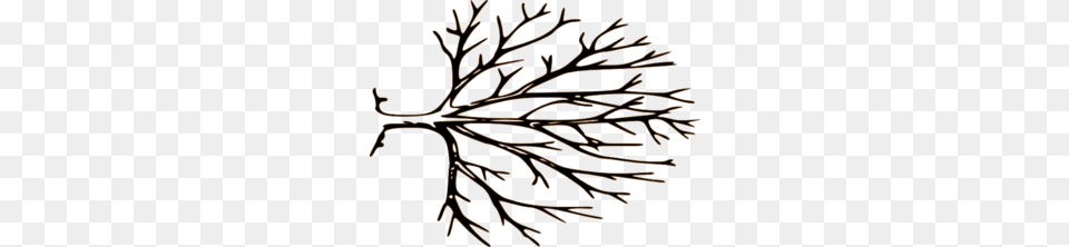 Bare Tree Md, Plant, Nature, Outdoors, Conifer Free Transparent Png
