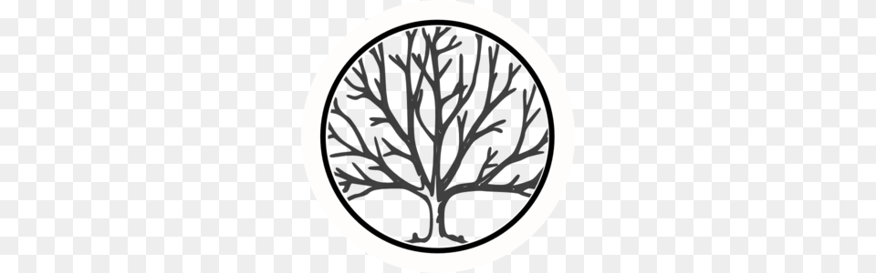 Bare Tree Outline Circle, Oval Free Transparent Png