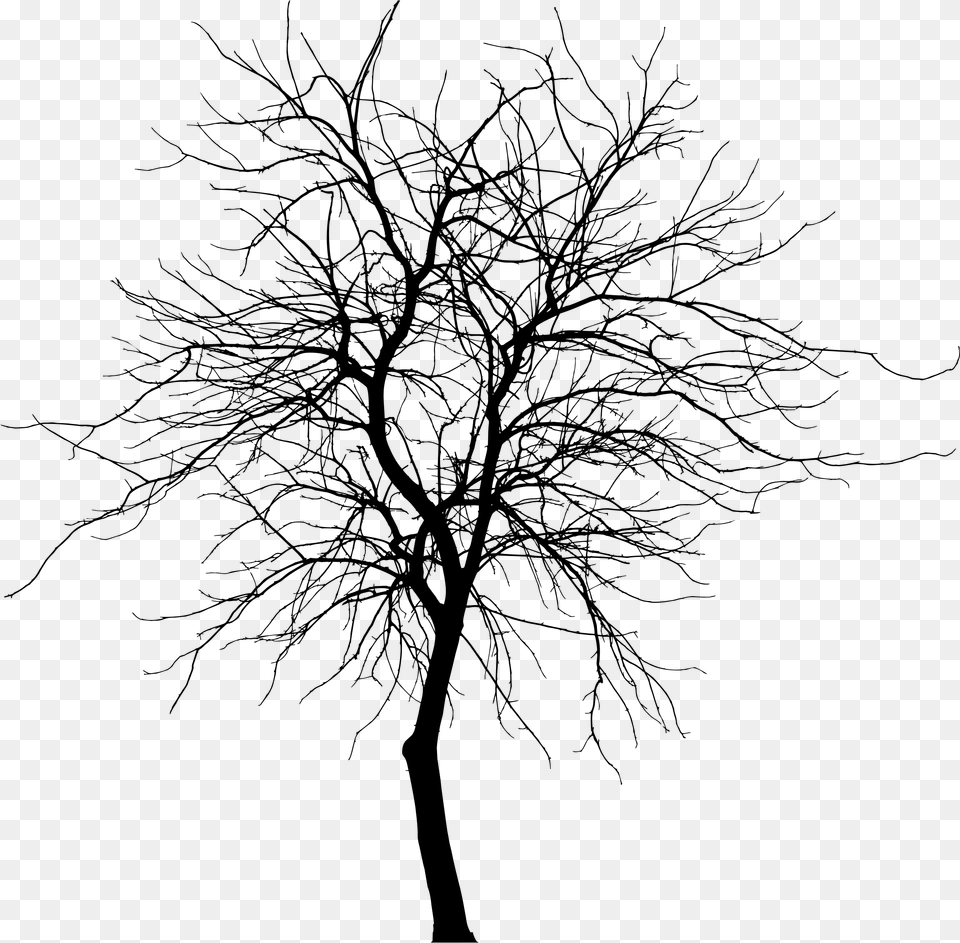 Bare Tree Silhouette, Gray Png