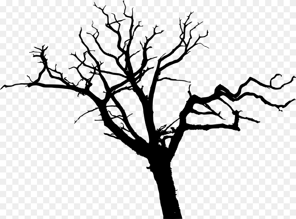 Bare Tree Silhouette, Plant, Art Png