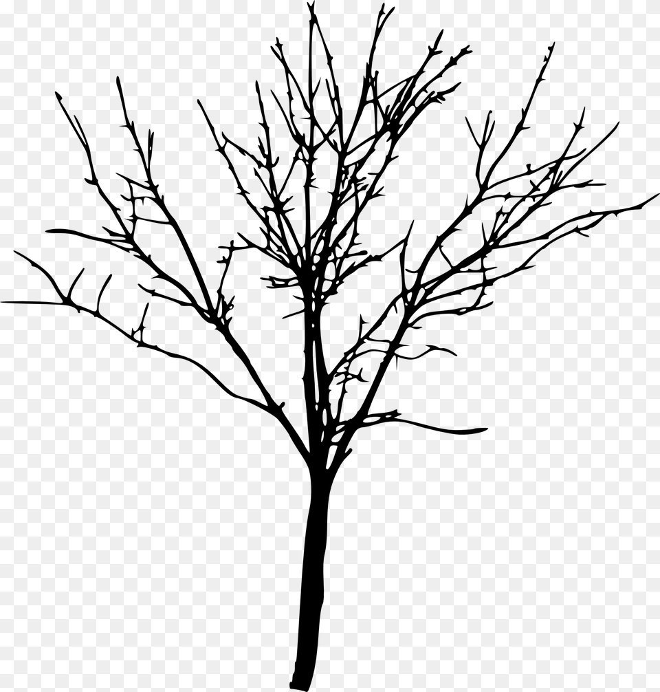 Bare Tree Silhouette, Art, Plant, Drawing Free Png Download