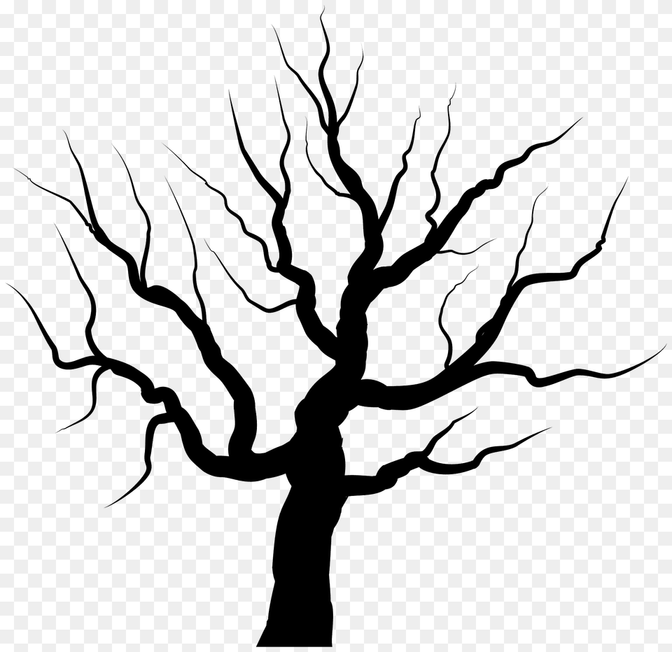 Bare Tree Silhouette, Oak, Plant, Tree Trunk, Sycamore Png