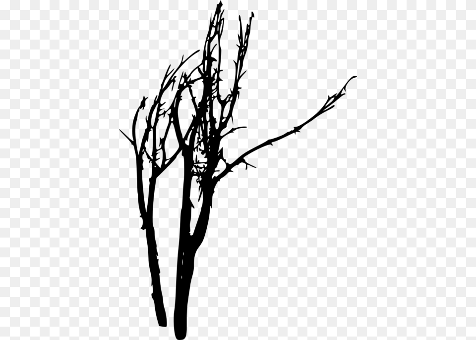 Bare Tree Silhouette, Plant Png