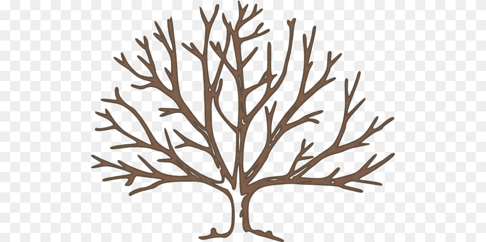 Bare Tree Silhouette Clip Art, Plant, Wood, Antler, Leaf Free Png Download