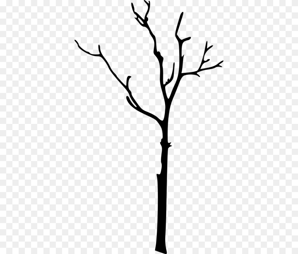 Bare Tree Silhouette Images Transparent Portable Network Graphics, Plant, Tree Trunk Free Png Download