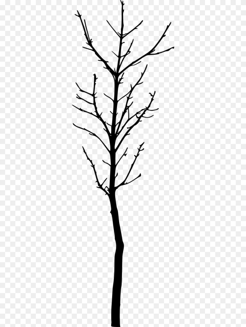 Bare Tree Silhouette Twig, Gray Free Png Download