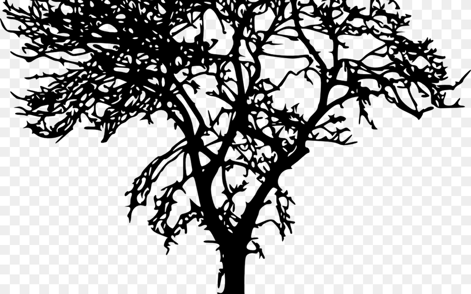 Bare Tree Silhouette Vol 2 Onlygfxcom Transparent Tree Silhouette, Oak, Plant, Sycamore, Tree Trunk Png
