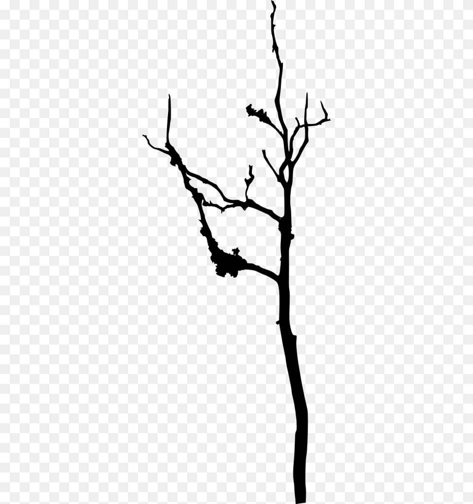 Bare Tree Silhouette Vol Silhouette, Gray Free Png