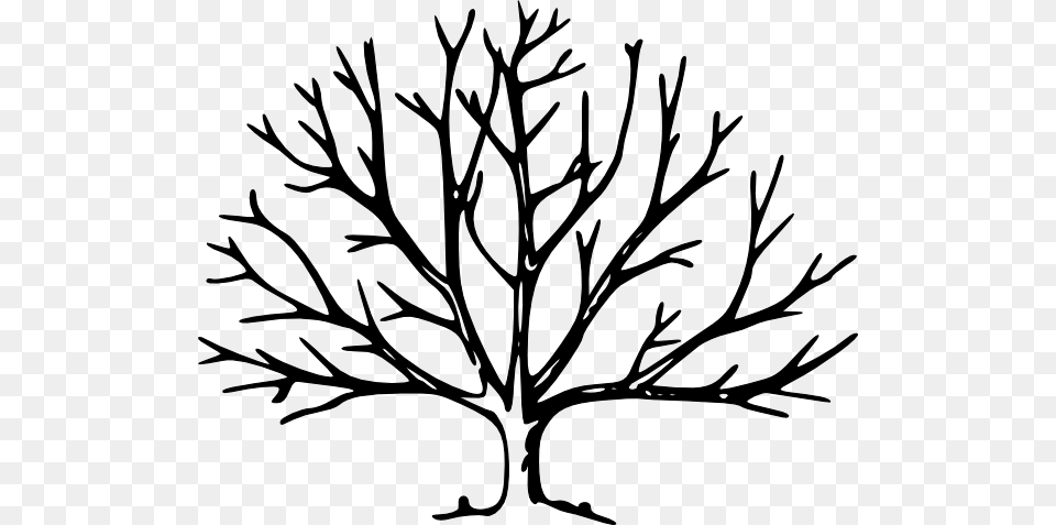 Bare Tree Tree Vector, Art, Drawing Free Transparent Png