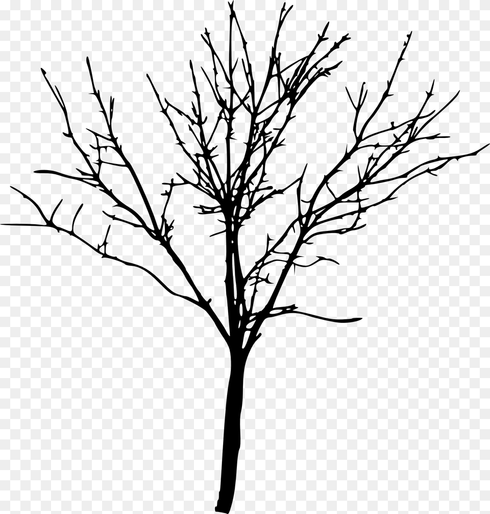 Bare Trees Bare Tree Silhouette, Art, Plant, Drawing Png