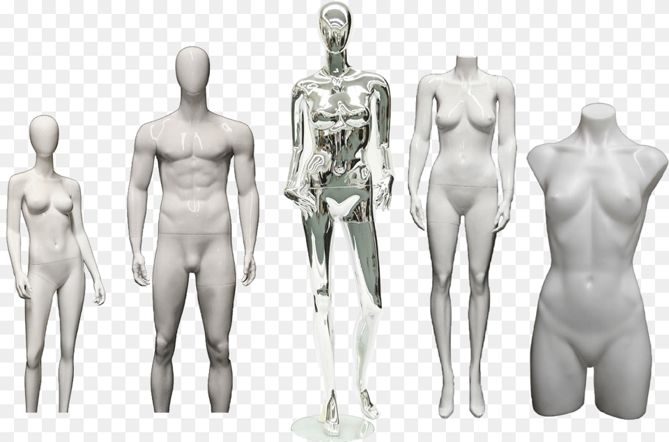 Barechested, Body Part, Torso, Person, Adult Free Png Download
