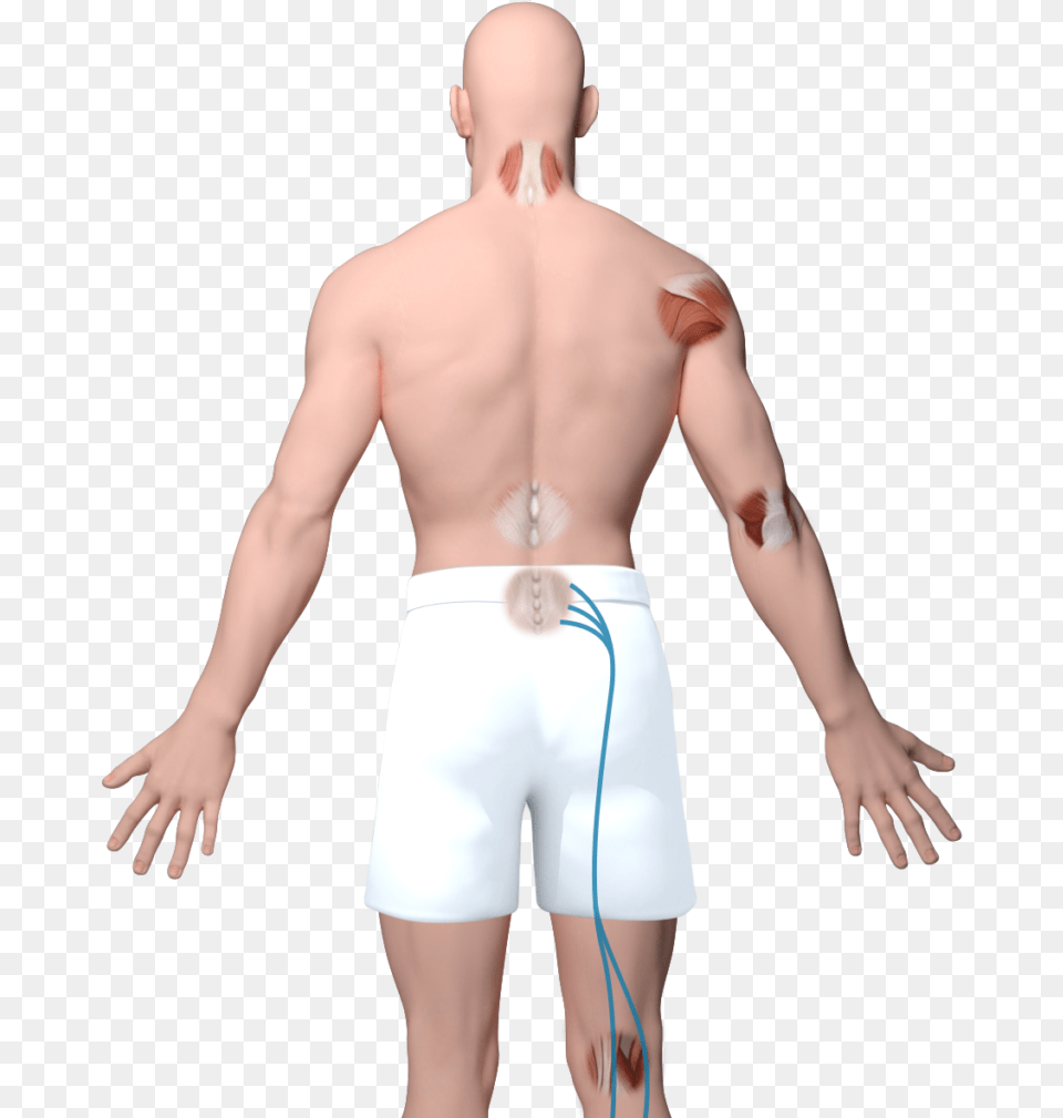 Barechested, Back, Body Part, Person, Clothing Png