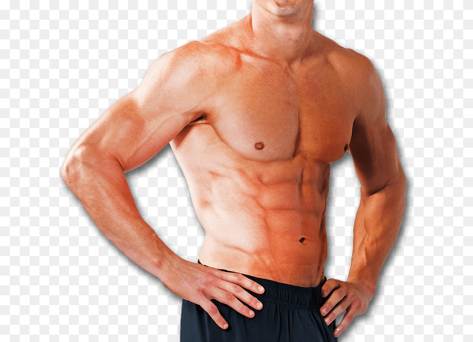 Barechested, Adult, Back, Body Part, Male Free Transparent Png