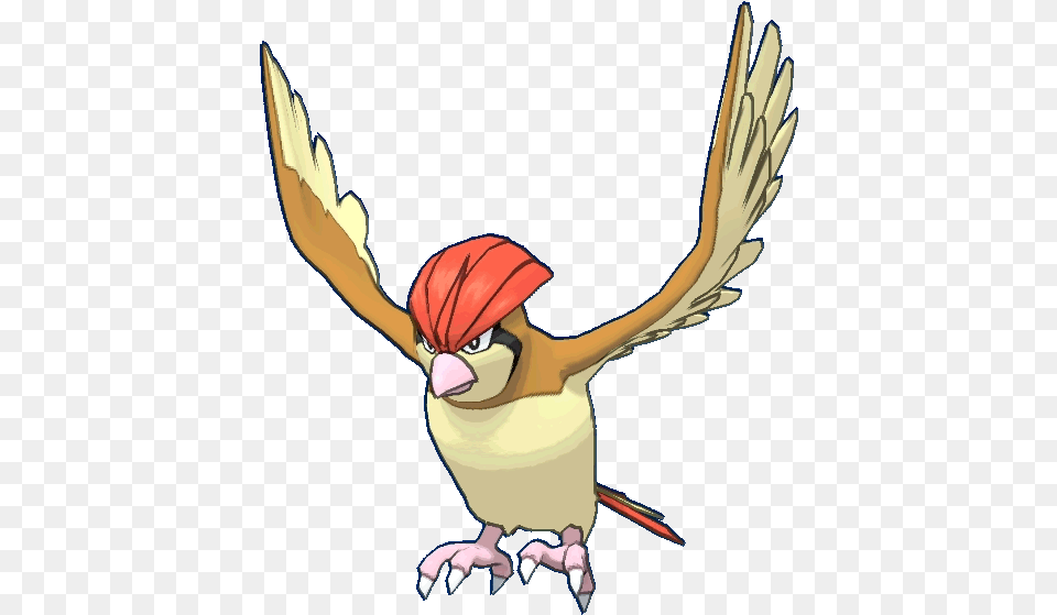 Barelysuper Pokedex Pheasant, Animal, Beak, Bird, Person Free Png