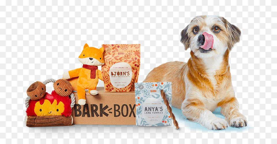 Bark Boxes, Plush, Toy, Animal, Canine Png Image